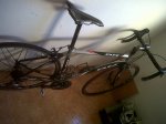 IMG00007-20111125-1537.jpg