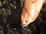2011-11-26 10.58.17.jpg