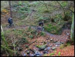 IMG_0246-p.jpg