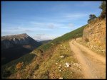 IMG_0272-p.jpg