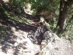 2011-11-28 13.21.11.jpg