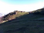 IMAG0483.jpg