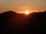 m_P1070656.jpg