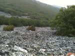 IMG_0961.jpg