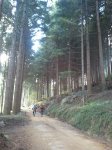 2011-11-27 10.34.29.jpg