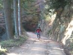 2011-11-27 09.58.48.jpg