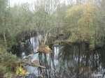 DSCN3182 (Large).JPG