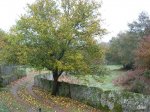 DSCN3184 (Large).JPG