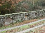 DSCN3185 (Large).JPG