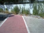 carril bici contra red.jpg
