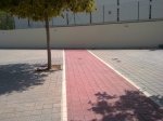 cariil contra pared.jpg
