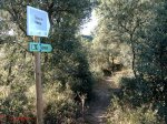 tetas-viana-sendero.jpg