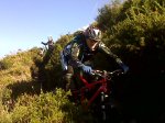 IMG00115-20111126-1157.jpg
