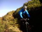 IMG00124-20111126-1202.jpg