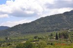 DSC_0346 (Copiar).JPG