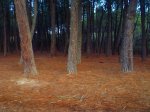 Foto12.JPG