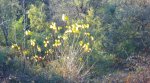Foto27.JPG
