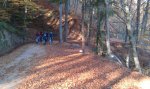 IMAG0751.jpg