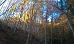 IMAG0747.jpg