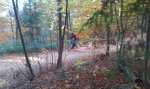 IMAG0742.jpg