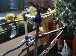 DSC04452.JPG