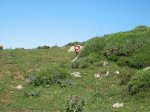 IMG_6715.jpg