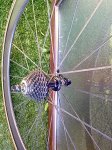 260420111370.jpg