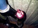 IMG00274-20111118-1738.jpg