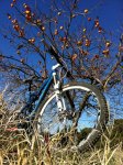 Kakis probike jaen.jpg