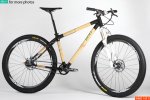 bamboo_bike.jpg