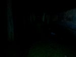 Luz 50%.JPG