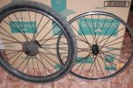 100_1295.JPG