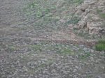 M 050.jpg