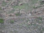 M 054.jpg