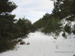 04_CaminoDelPaular.jpg