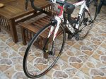 bici 018 (800x600).jpg