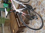 bici 022 (800x600).jpg
