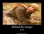 300pxBehind_the_musgo2.jpg