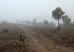 Niebla1.jpg