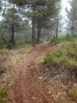 Niebla2.jpg