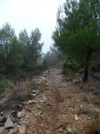 Niebla3.jpg
