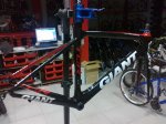 giant tcr 001.jpg