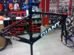 giant tcr 002.jpg