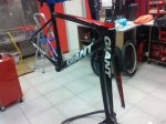 giant tcr 004.jpg