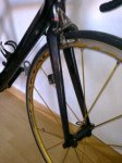 kuota 009.jpg