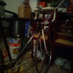 DSC00362.jpg