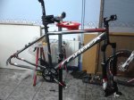 orbea.jpg
