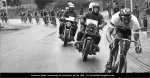 am-moser.jpg