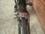 DSCN4231.jpg
