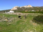 Foto0180_01.JPG